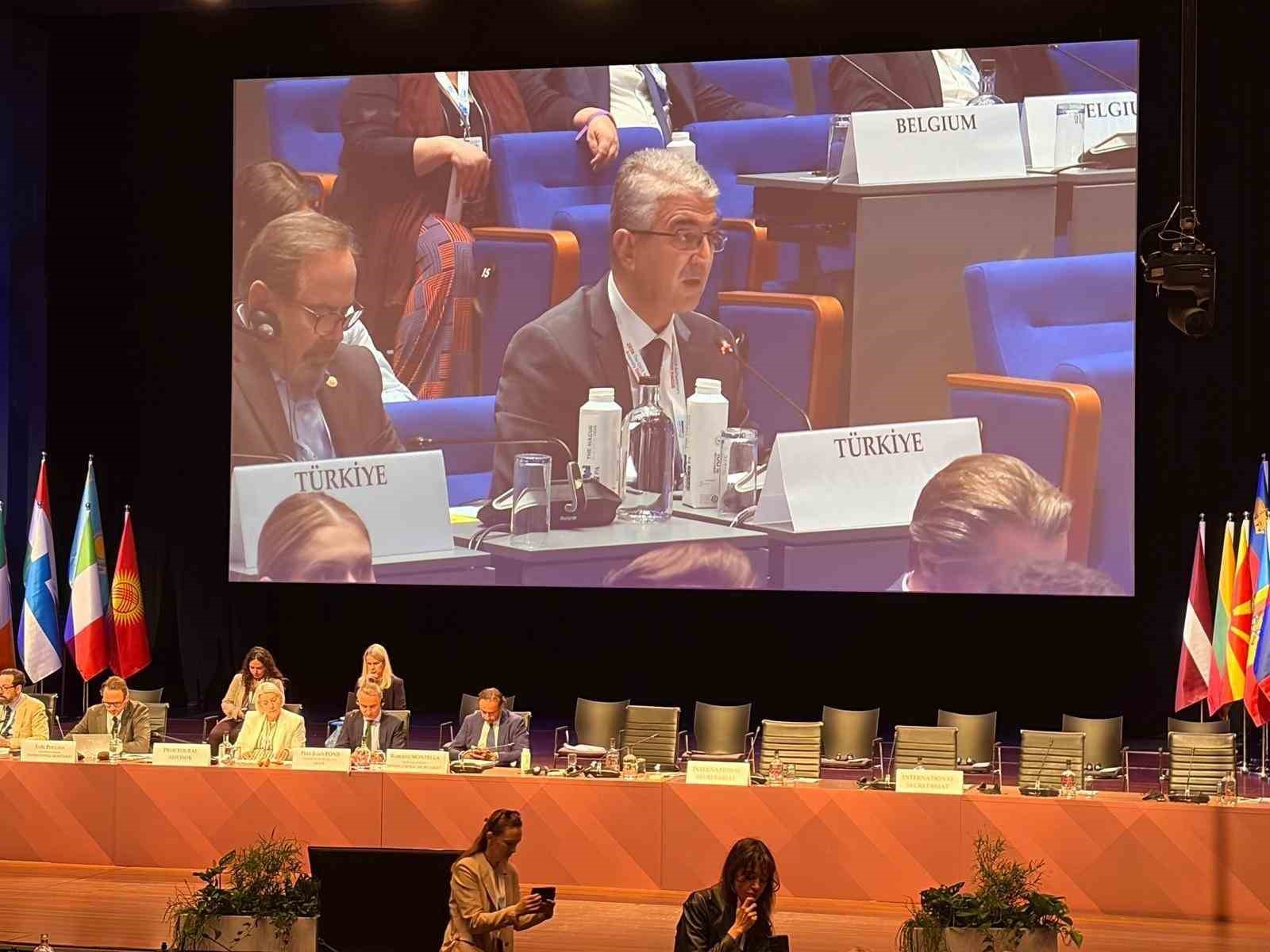 AGİT'te Türkiye rüzgarı: MHP'li Aydın'dan gençleri dijital tehditlerden koruyacak tarihi tasarı