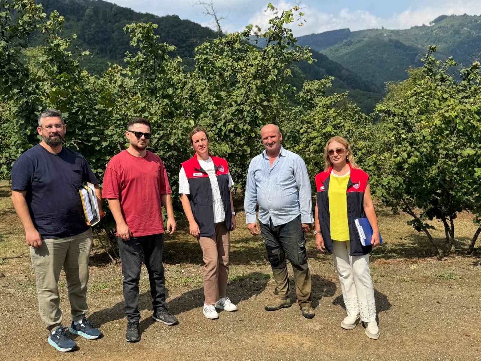 Düzce'de fındık üreticilerine iyi tarım denetimi