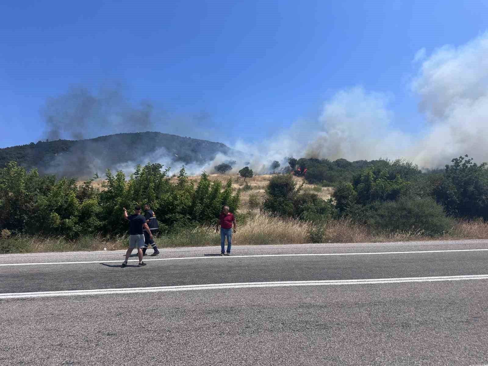 Ayvacık'ta orman yangını