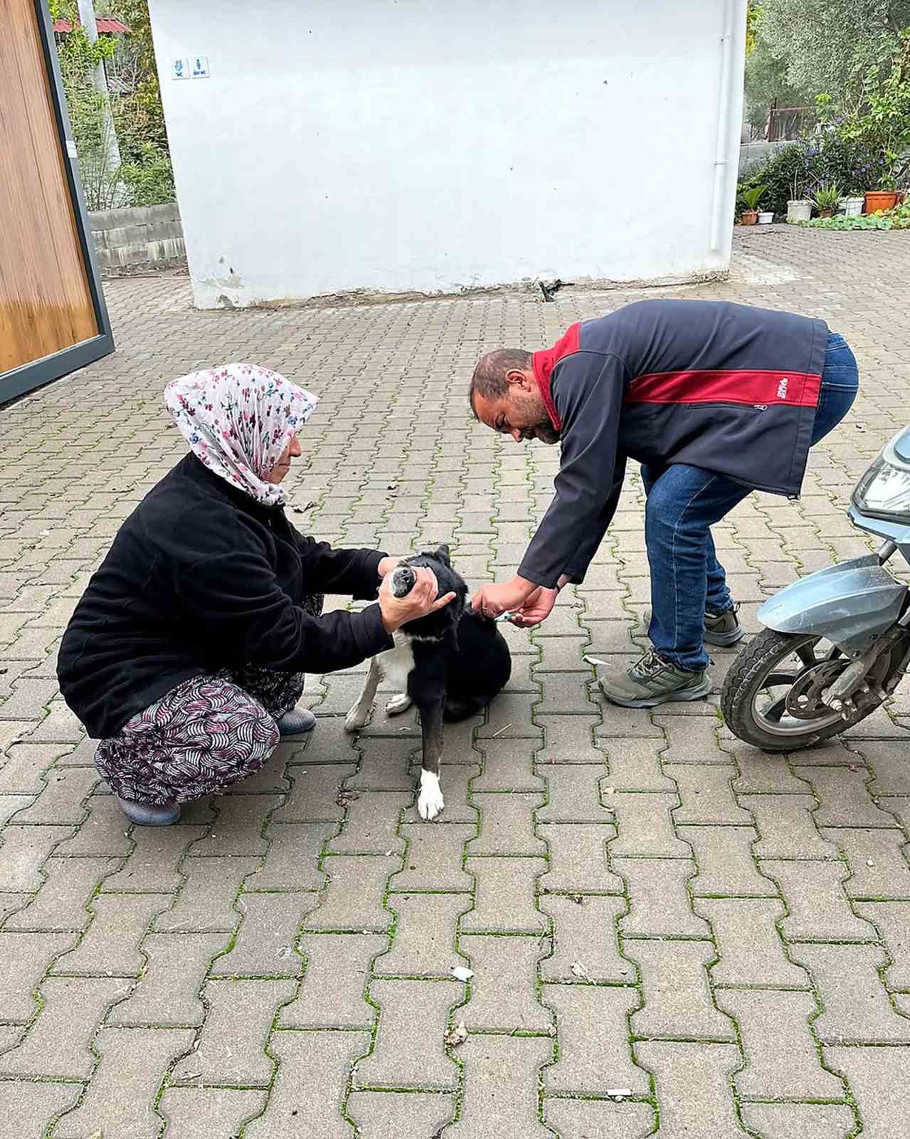 MUĞLA’NIN ORTACA İLÇESİNDE, 2026 YILI KUDUZ AŞILAMA KAMPANYASI KAPSAMINDA KEDİ VE KÖPEKLERE YÖNELİK AŞILAMA ÇALIŞMALARI GERÇEKLEŞTİRİLDİ.