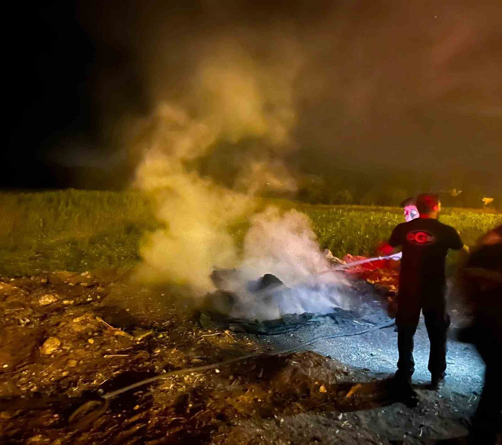 Bilecik'te yol kenarındaki çöp birikintisi alev aldı