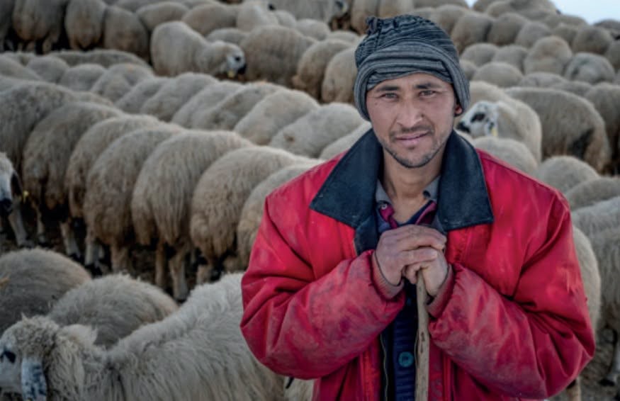 ERZİNCAN'DAN İKİ FOTOĞRAF ULUSLARARASI YARIŞMADA SERGİLENMEYE DEĞER BULUNDU