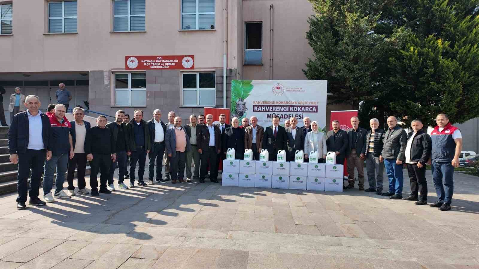 Fındık üretimini tehdit eden kokarcaya karşı önlem