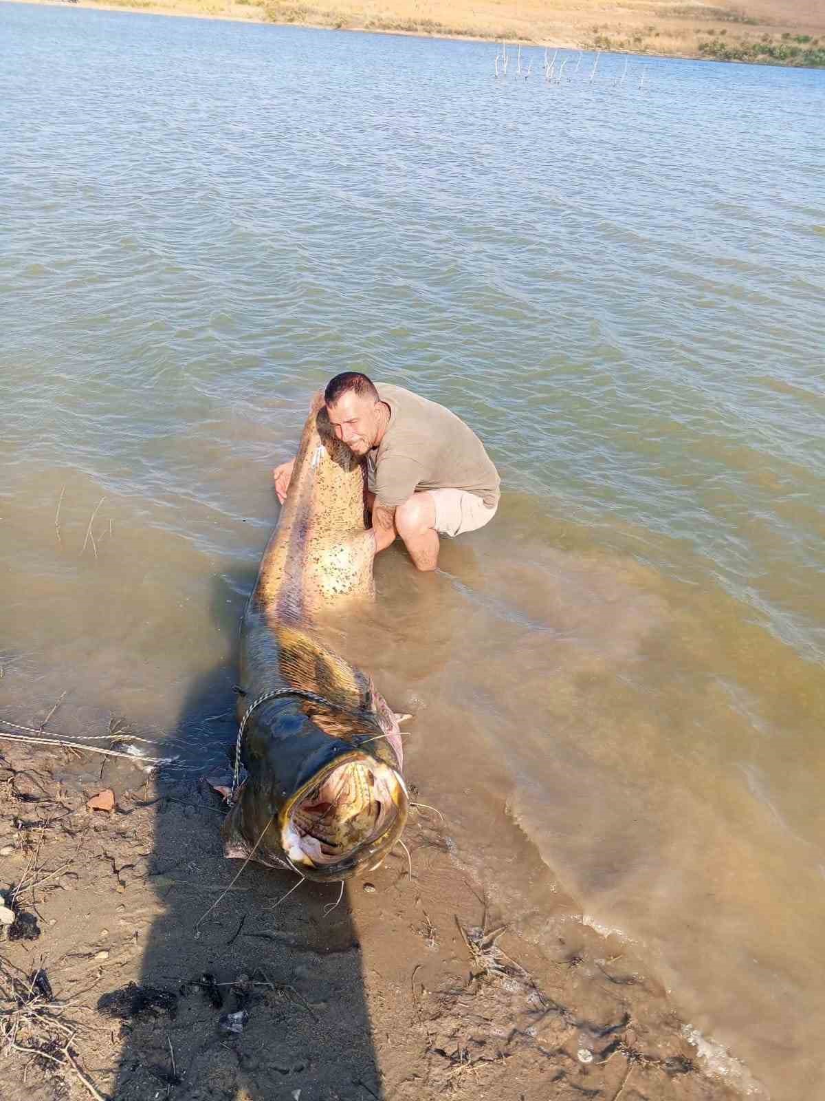 Tekirdağ'da 157 kiloluk yayın balığı yakalandı