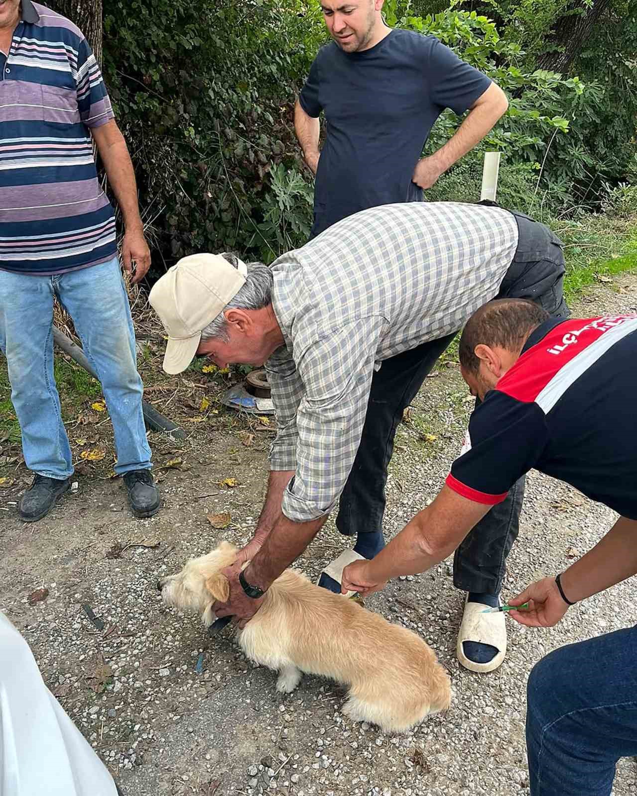 MUĞLA’NIN ORTACA İLÇESİNDE, 2026 YILI KUDUZ AŞILAMA KAMPANYASI KAPSAMINDA KEDİ VE KÖPEKLERE YÖNELİK AŞILAMA ÇALIŞMALARI GERÇEKLEŞTİRİLDİ.